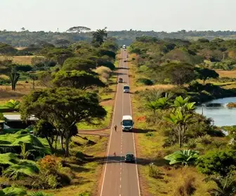 Guia de Transporte em Mato Grosso do Sul: 42 opções para explorar Guia de Transporte em Mato Grosso do Sul: 42 opções para explorar
