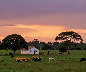 Hospedagem em Fazendas no Pantanal: Experiências Inesquecíveis