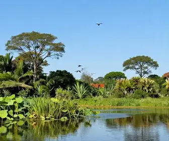 Mato Grosso do Sul é um Destino Seguro para Turistas?