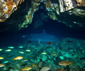 Mergulho em Cavernas: A Aventura Subaquática de Bonito, MS