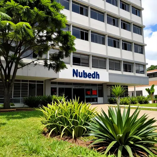 Nudedh: O Núcleo de Apoio da Defensoria Pública