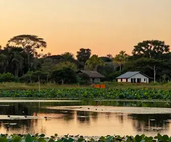 Os 20 melhores destinos em Mato Grosso do Sul: um guia completo