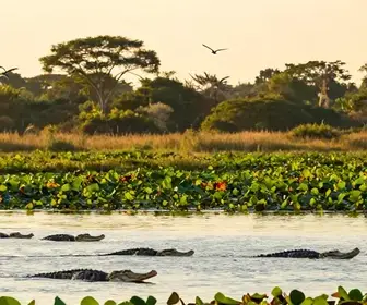 Os 33 melhores atendimentos turísticos em Mato Grosso do Sul