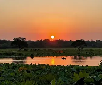Qual o Custo de Viajar para o Pantanal: Dicas e Informações Essenciais Qual o Custo de Viajar para o Pantanal: Dicas e Informações Essenciais