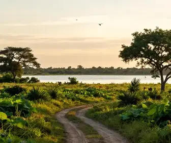 Quantos Dias Você Deve Planejar para Conhecer o Pantanal