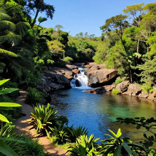 Rio do Peixe Trilhas e Cachoeiras